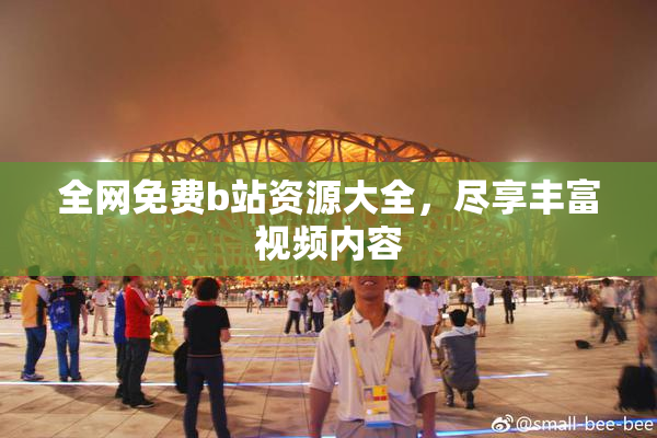 全网免费b站资源大全，尽享丰富视频内容
