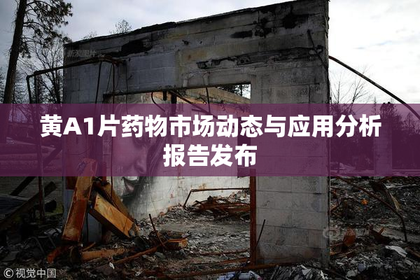 黄A1片药物市场动态与应用分析报告发布