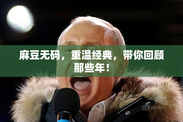麻豆无码，重温经典，带你回顾那些年！