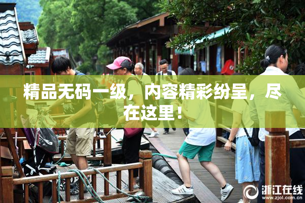 精品无码一级，内容精彩纷呈，尽在这里！