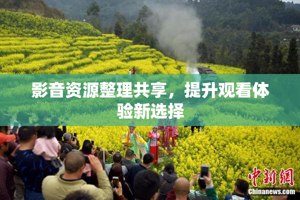 影音资源整理共享，提升观看体验新选择