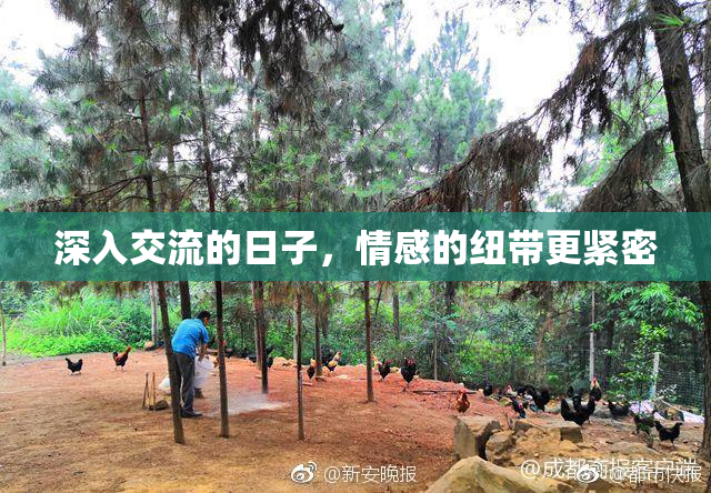 深入交流的日子，情感的纽带更紧密