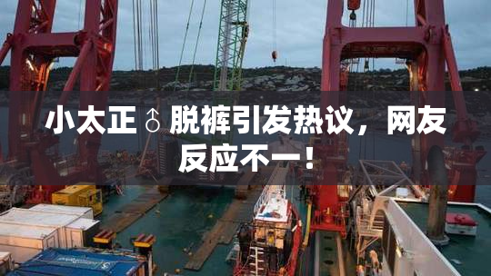 小太正♂脱裤引发热议，网友反应不一！