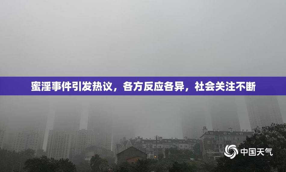 蜜淫事件引发热议，各方反应各异，社会关注不断