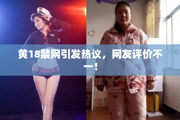 黄18禁网引发热议，网友评价不一！