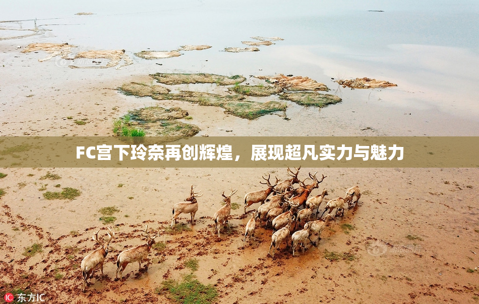FC宫下玲奈再创辉煌，展现超凡实力与魅力