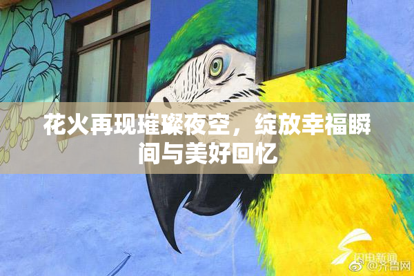 花火再现璀璨夜空，绽放幸福瞬间与美好回忆
