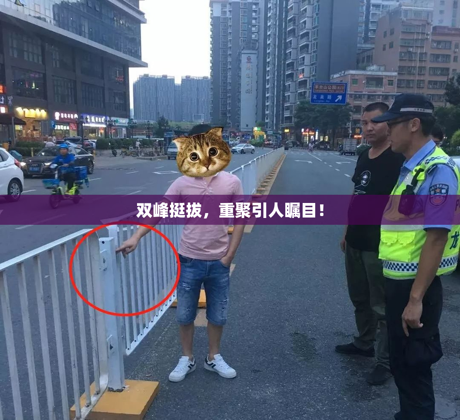 双峰挺拔，重聚引人瞩目！