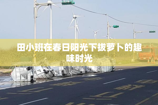 田小班在春日阳光下拔萝卜的趣味时光