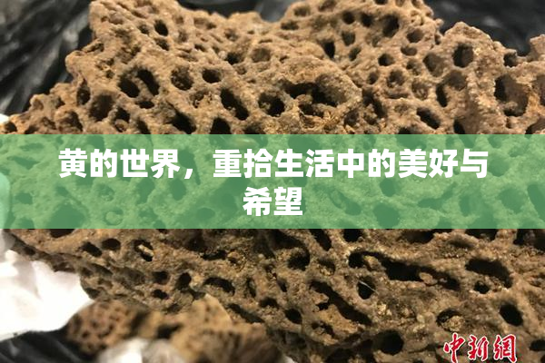 黄的世界，重拾生活中的美好与希望