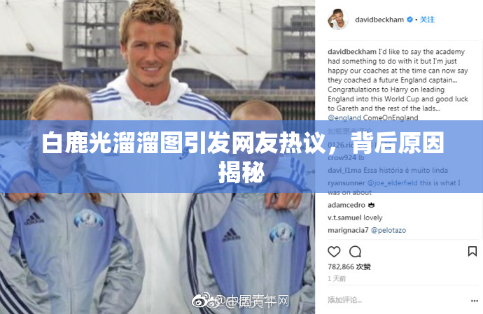 白鹿光溜溜图引发网友热议，背后原因揭秘