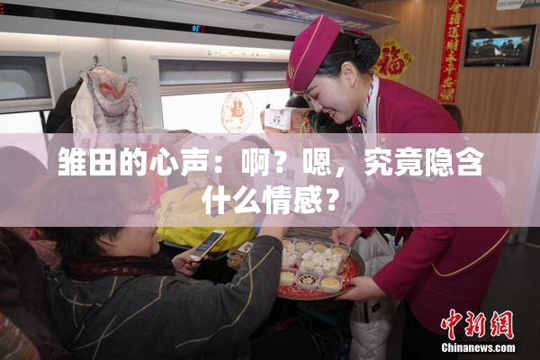 雏田的心声：啊？嗯，究竟隐含什么情感？