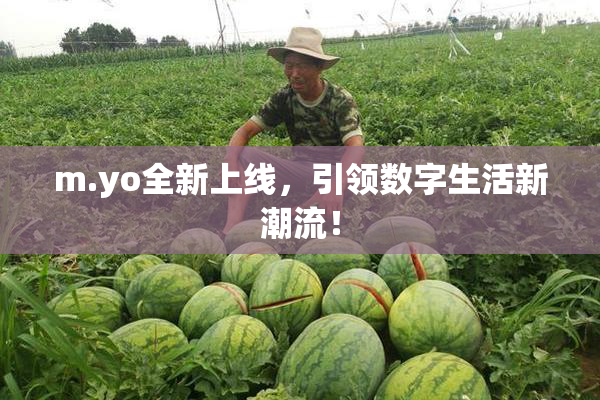m.yo全新上线，引领数字生活新潮流！