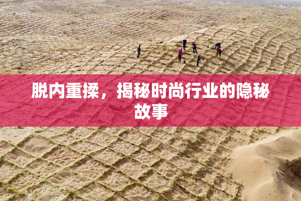脱内重揉，揭秘时尚行业的隐秘故事