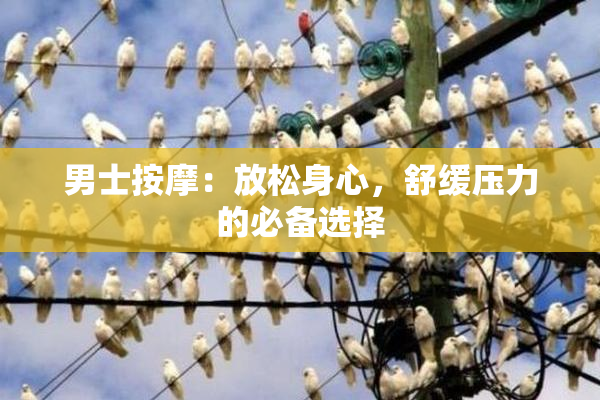 男士按摩：放松身心，舒缓压力的必备选择