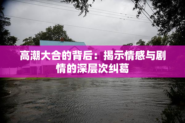 高潮大合的背后：揭示情感与剧情的深层次纠葛