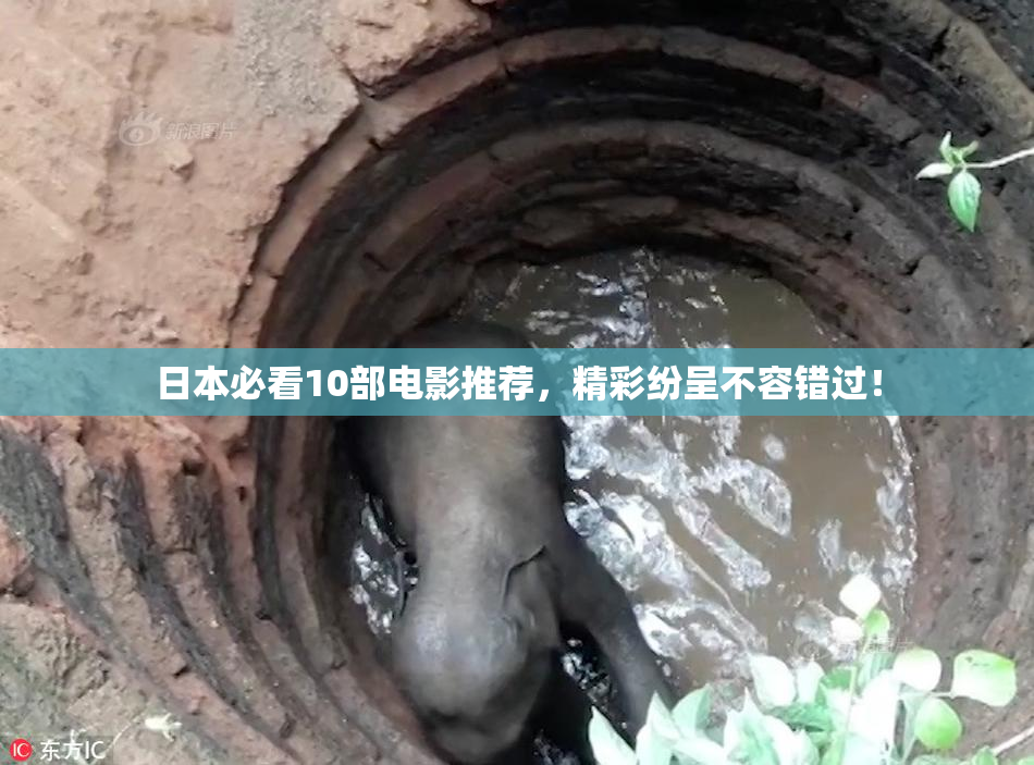 日本必看10部电影推荐，精彩纷呈不容错过！