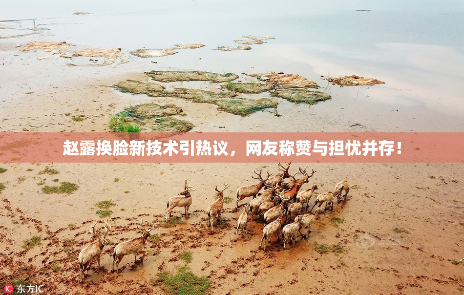 赵露换脸新技术引热议，网友称赞与担忧并存！