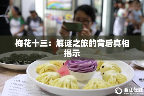 梅花十三：解谜之旅的背后真相揭示