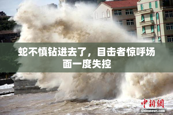 蛇不慎钻进去了，目击者惊呼场面一度失控