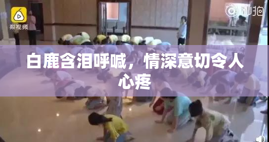 白鹿含泪呼喊，情深意切令人心疼