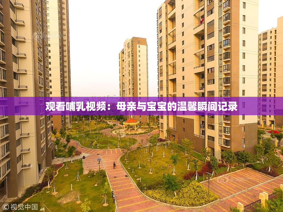 观看哺乳视频：母亲与宝宝的温馨瞬间记录