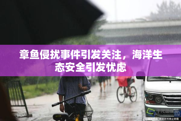 章鱼侵扰事件引发关注，海洋生态安全引发忧虑