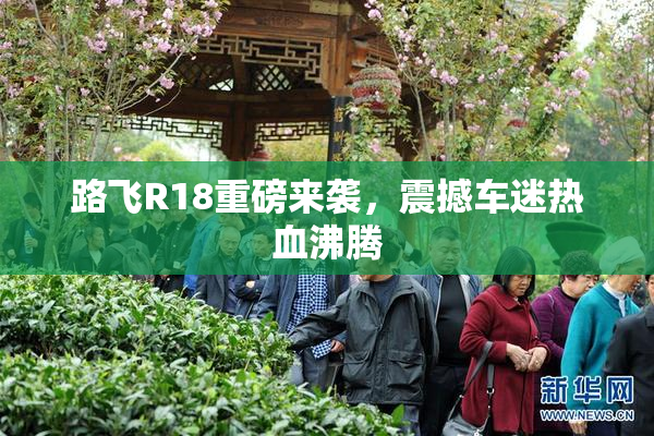 路飞R18重磅来袭，震撼车迷热血沸腾