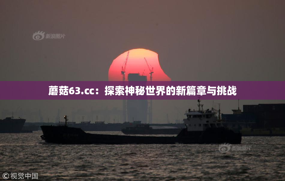蘑菇63.㏄：探索神秘世界的新篇章与挑战