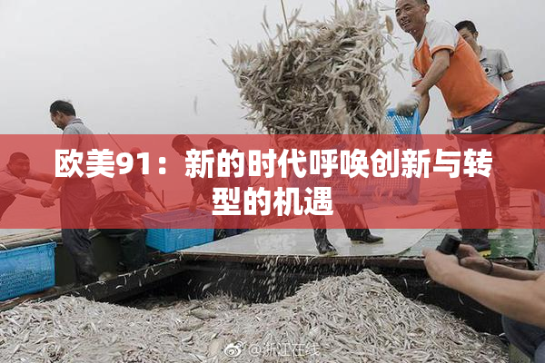 欧美91：新的时代呼唤创新与转型的机遇