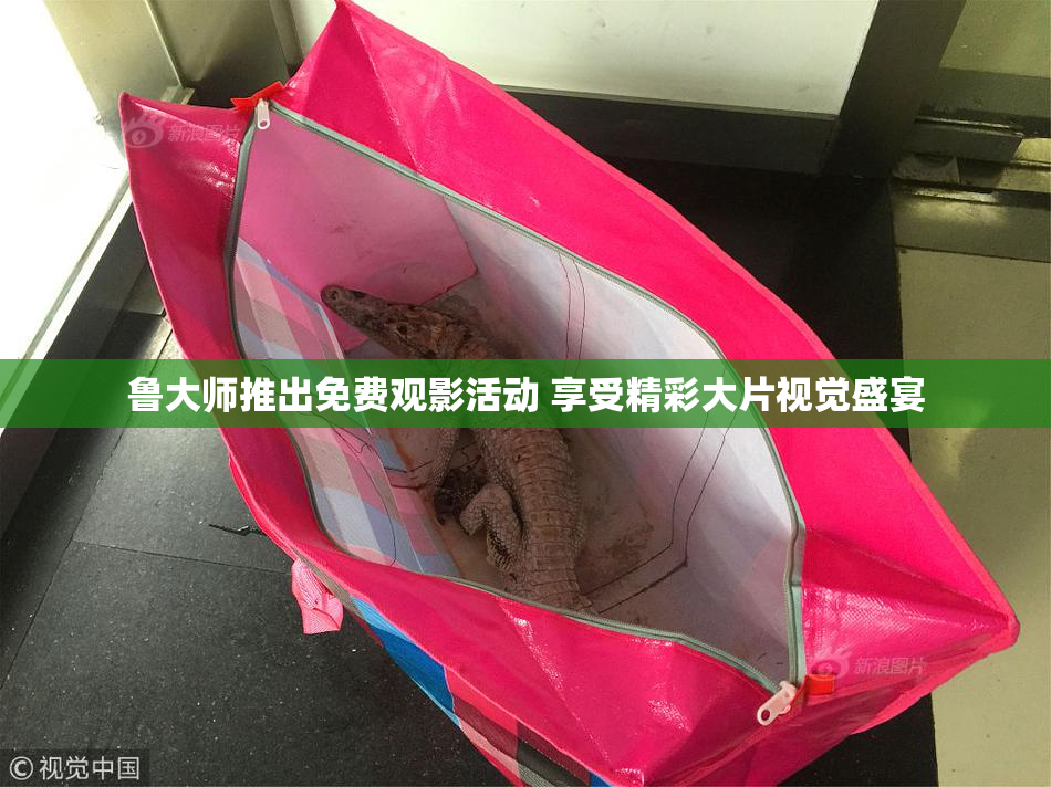 鲁大师推出免费观影活动 享受精彩大片视觉盛宴