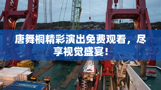 唐舞桐精彩演出免费观看，尽享视觉盛宴！