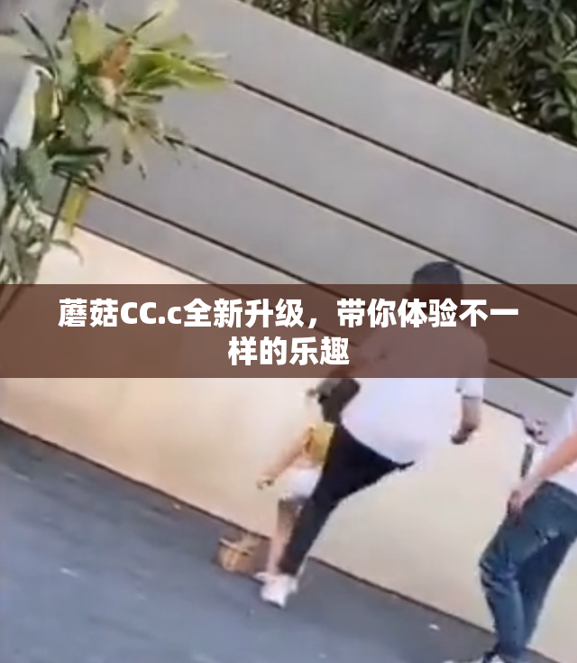 蘑菇CC.c全新升级，带你体验不一样的乐趣