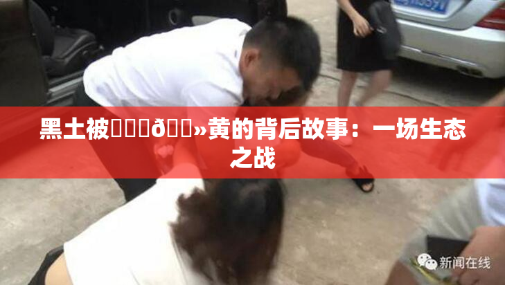 黑土被❌‌‌🐻黄的背后故事：一场生态之战