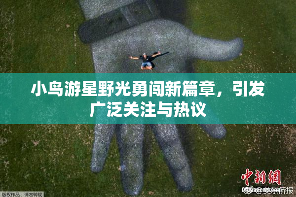 小鸟游星野光勇闯新篇章，引发广泛关注与热议