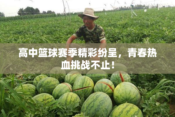 高中篮球赛季精彩纷呈，青春热血挑战不止！