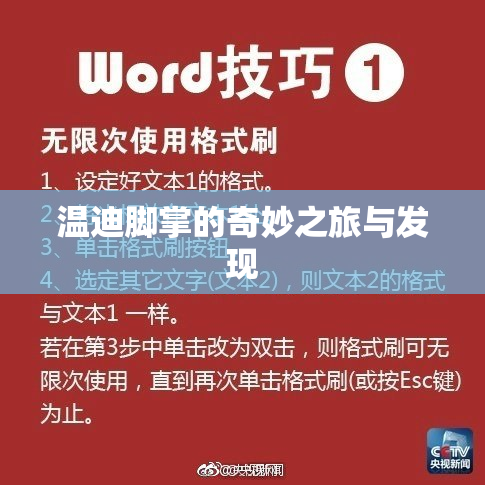 温迪脚掌的奇妙之旅与发现