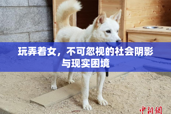 玩弄着女，不可忽视的社会阴影与现实困境