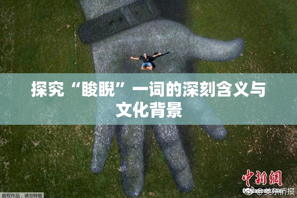 探究“睃睨”一词的深刻含义与文化背景