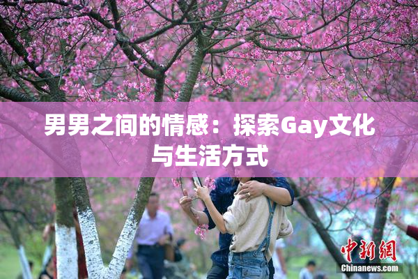 男男之间的情感：探索Gay文化与生活方式