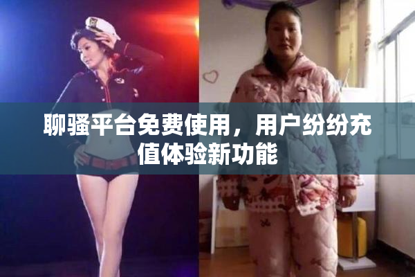 聊骚平台免费使用，用户纷纷充值体验新功能