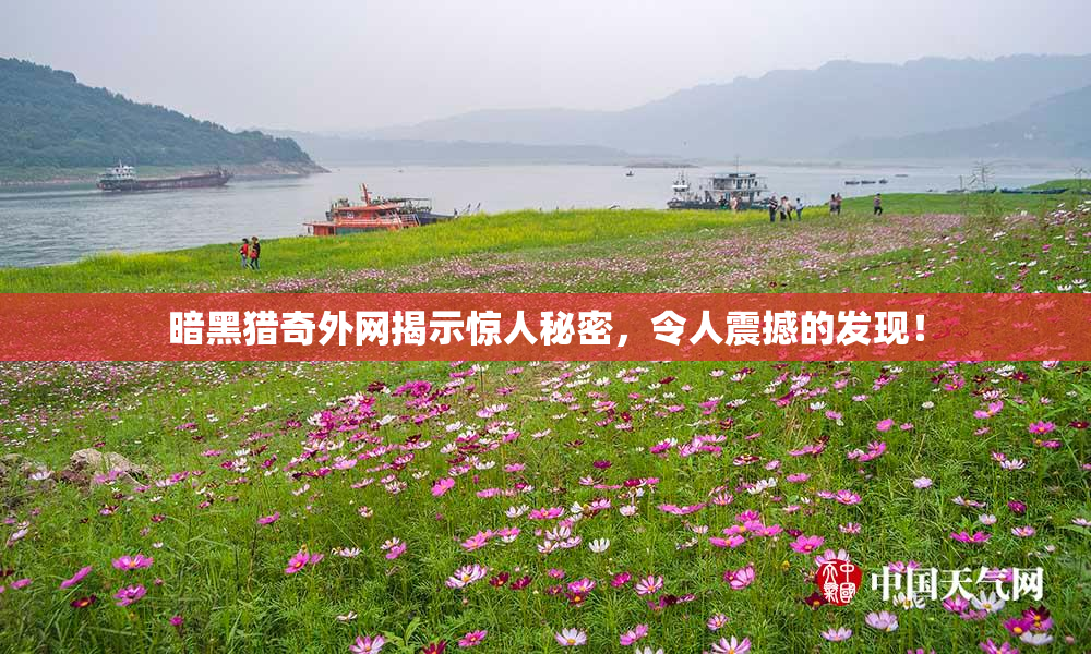 暗黑猎奇外网揭示惊人秘密，令人震撼的发现！