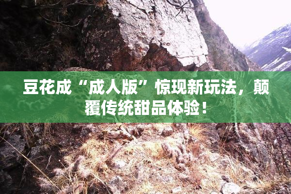 豆花成“成人版”惊现新玩法，颠覆传统甜品体验！