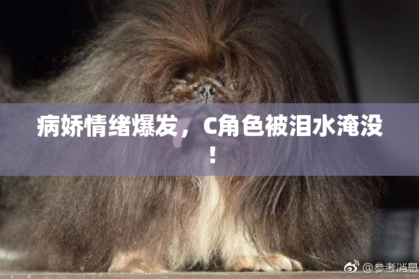 病娇情绪爆发，C角色被泪水淹没！