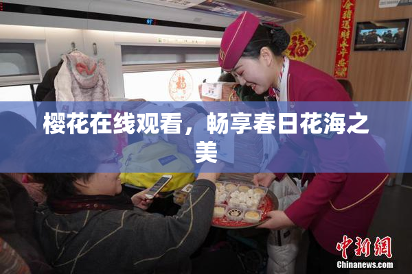 樱花在线观看，畅享春日花海之美