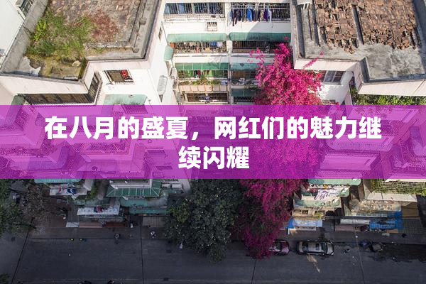 在八月的盛夏，网红们的魅力继续闪耀