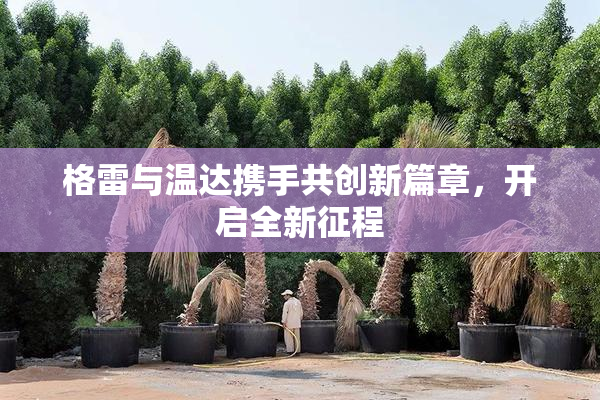格雷与温达携手共创新篇章，开启全新征程