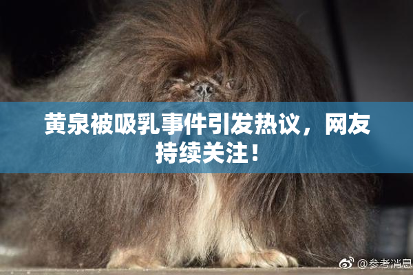 黄泉被吸乳事件引发热议，网友持续关注！