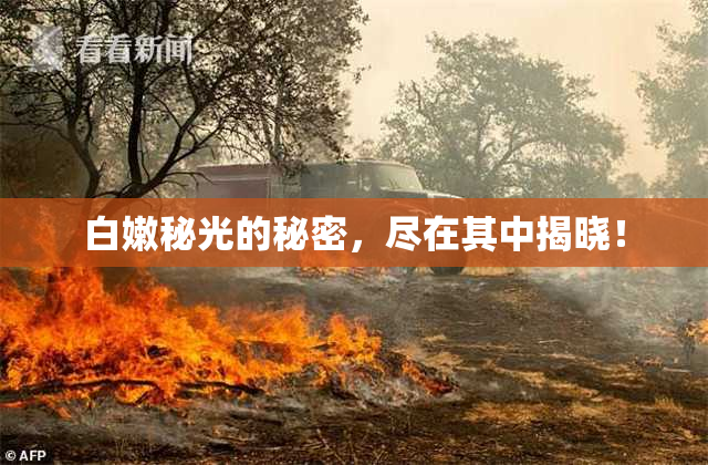 白嫩秘光的秘密，尽在其中揭晓！