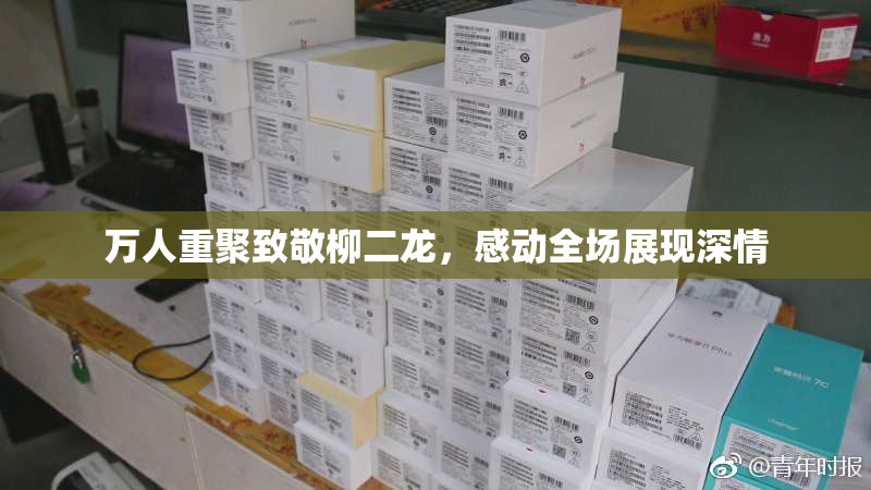 万人重聚致敬柳二龙，感动全场展现深情